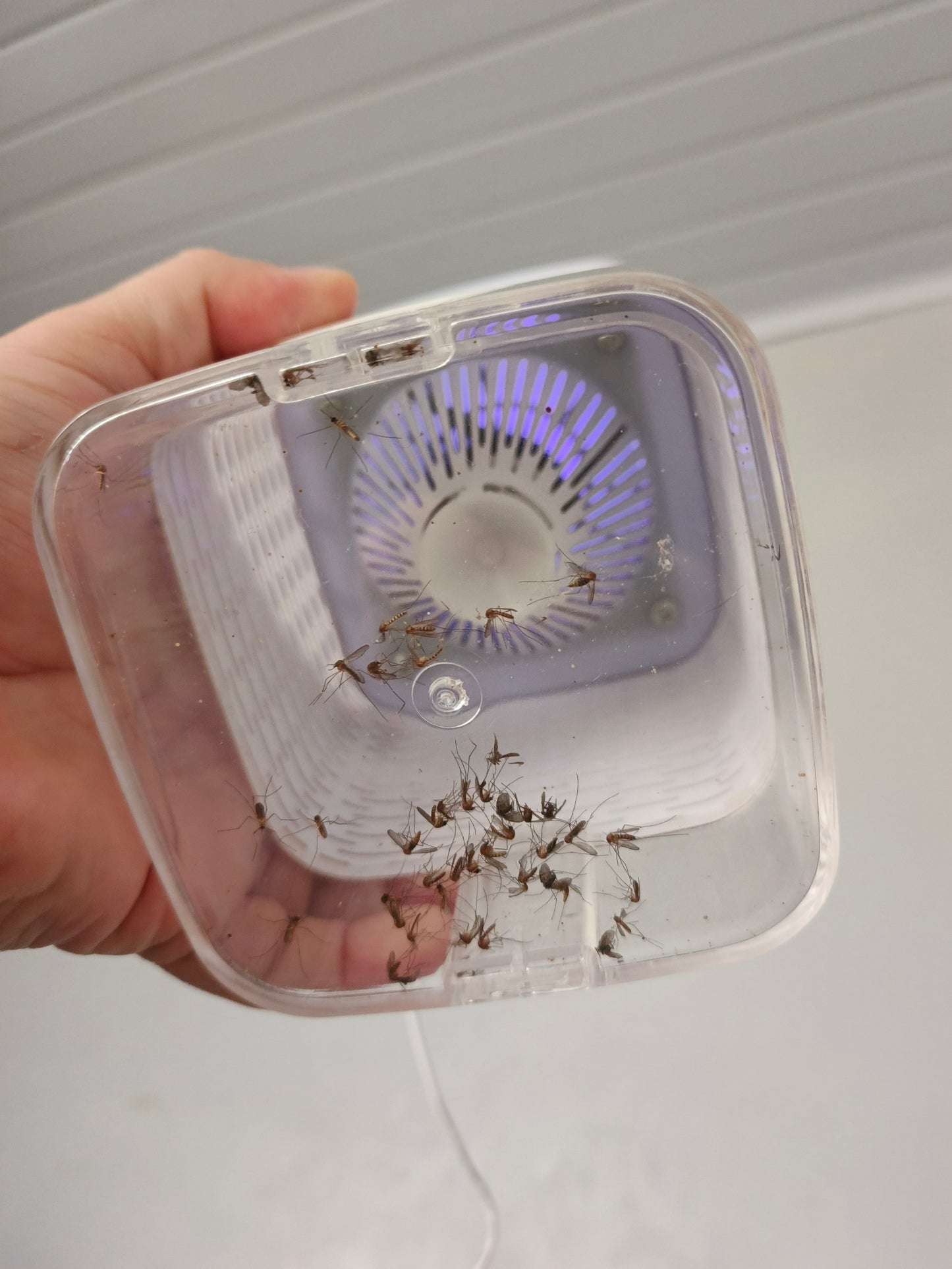 Matamosquitos por Succión Ei Bionic,¡Sin Pesticidas ni Ruido!.